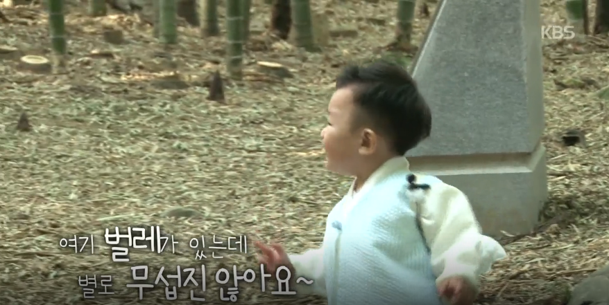 대박이 투블럭함 ㅋㅋㅋㅋㅋ (누나들이 벌레 무서워하자 누나들 지키는 대박이 ㄷㄷㄷ) | 인스티즈