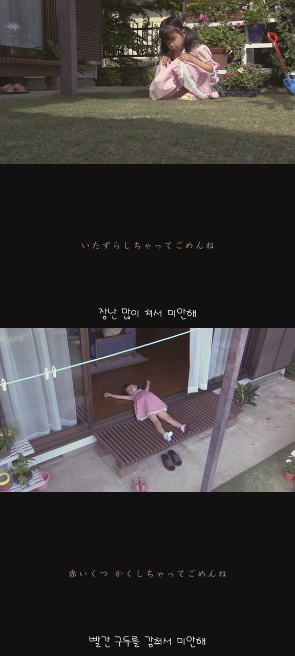 강아지의 삶 | 인스티즈
