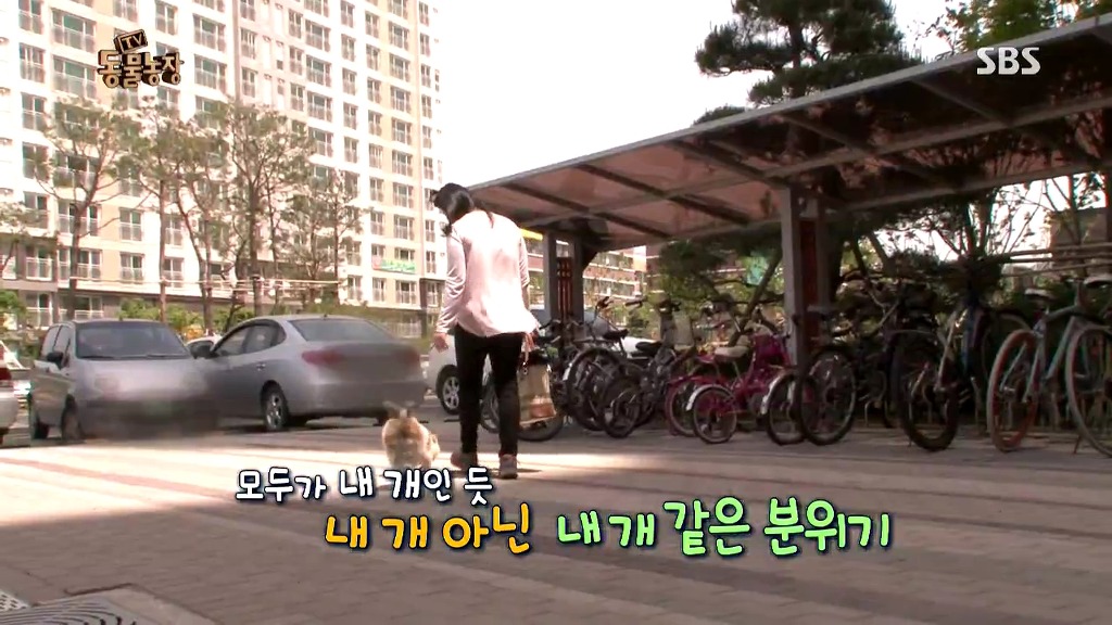 [동물농장] 106동 주민들이 키우는 강아지 | 인스티즈