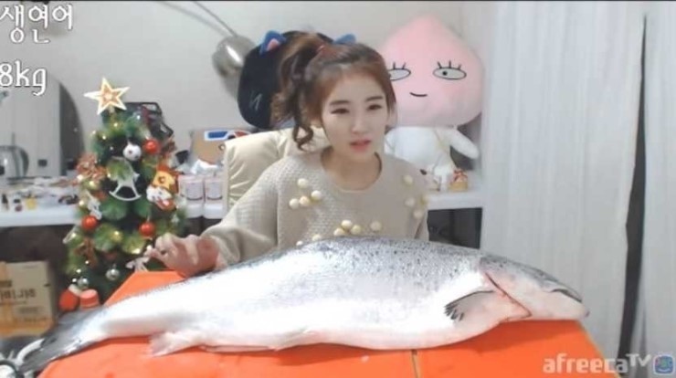 아프리카 여캠 연어 먹방 | 인스티즈