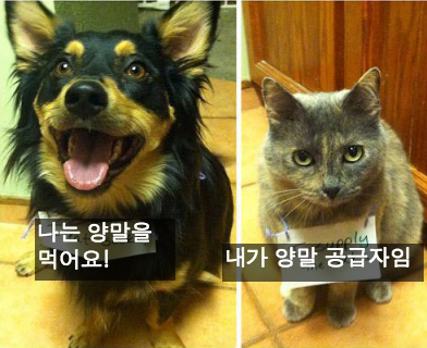 사랑스런 악동들 | 인스티즈
