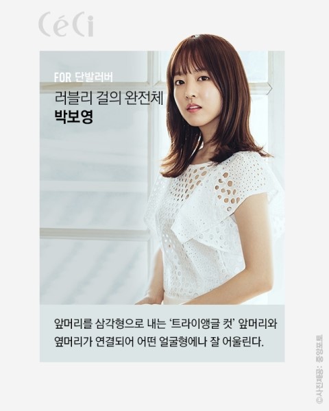 와이드헤어 이미지