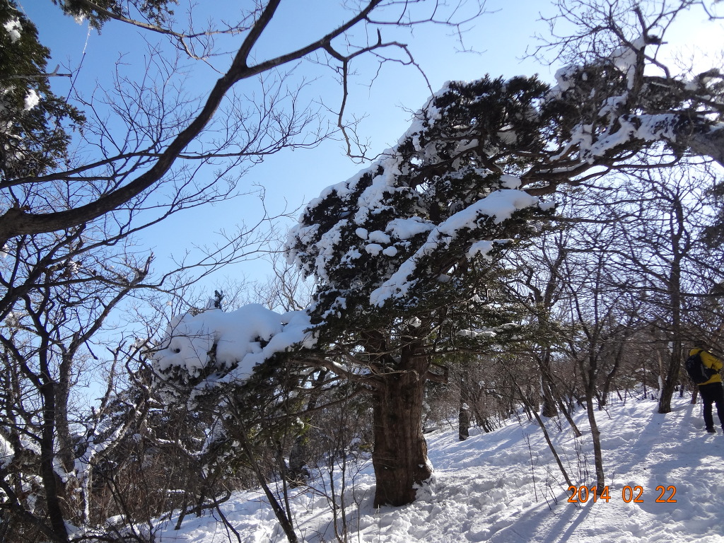 태백산 전경 이미지