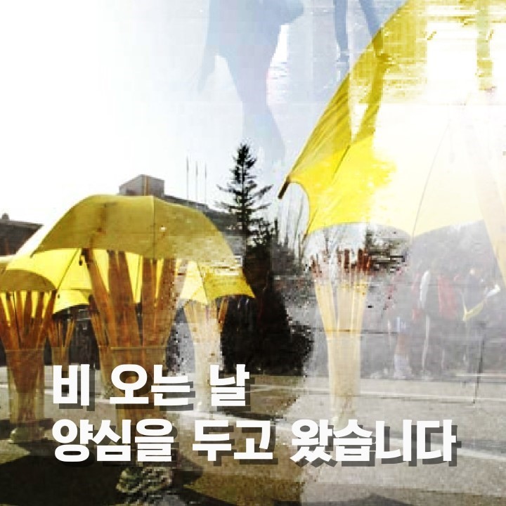 대한민국 시민의식 클라스.JPG (feat.씁쓸함주의...) | 인스티즈