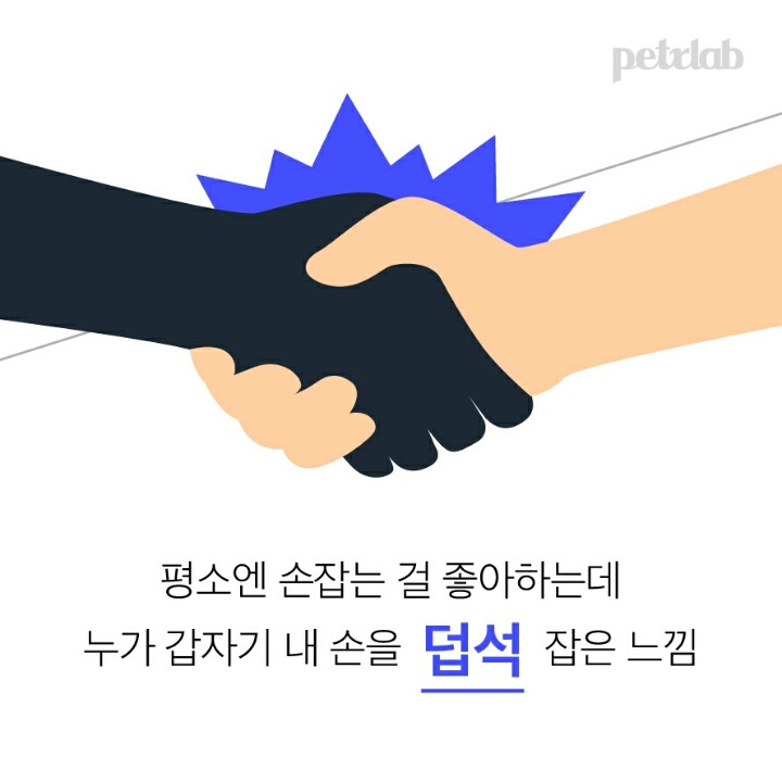 강아지는 왜 입으로 부는 바람을 싫어할까? | 인스티즈