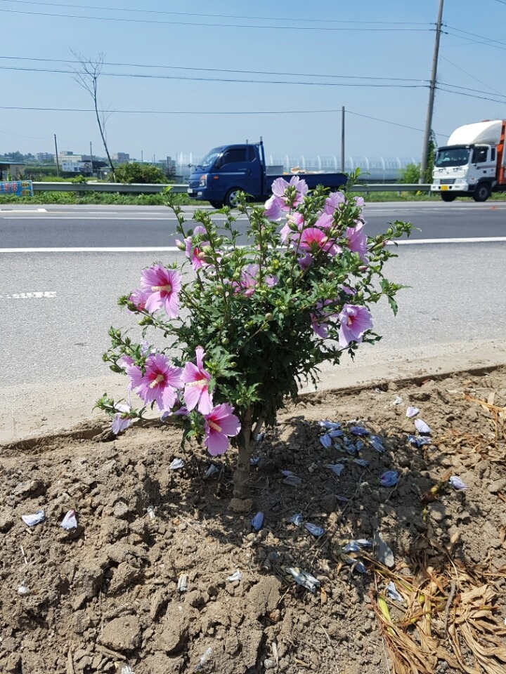 개화주유소 이미지