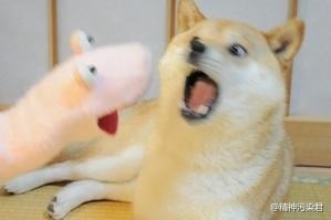 마성 이미지