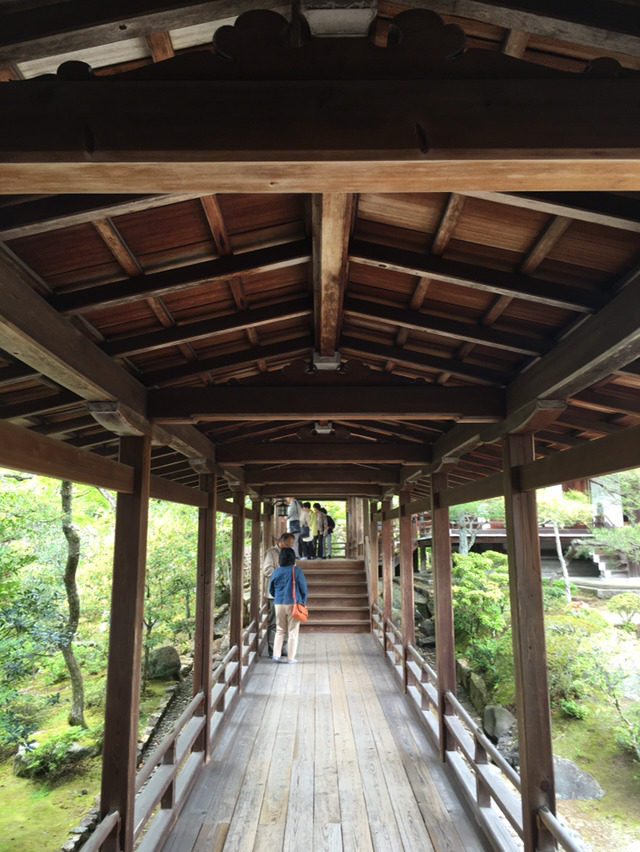 나홀로 교토여행 13박14일(2일차-2 닌나지,료안지,묘신지) | 인스티즈