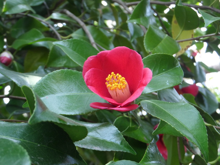 2201A03A552892470745DF