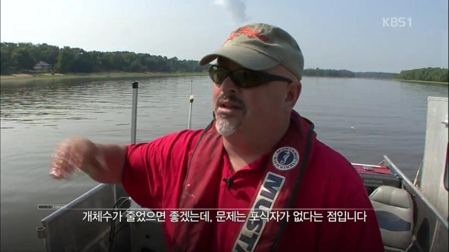 미국 전역을 장악한 아시아잉어의 역습.jpg | 인스티즈