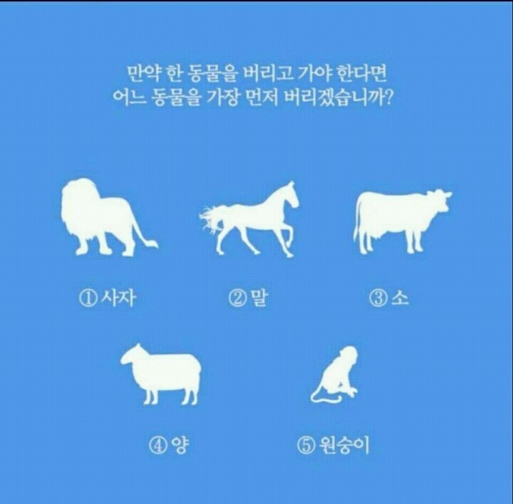 심리테스트 | 인스티즈