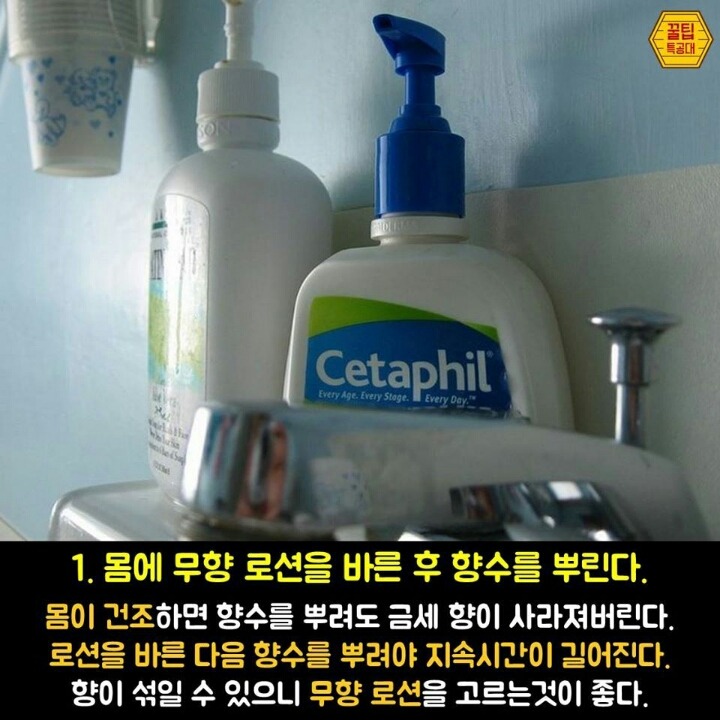 향수 제대로 뿌리는 7가지 방법 | 인스티즈
