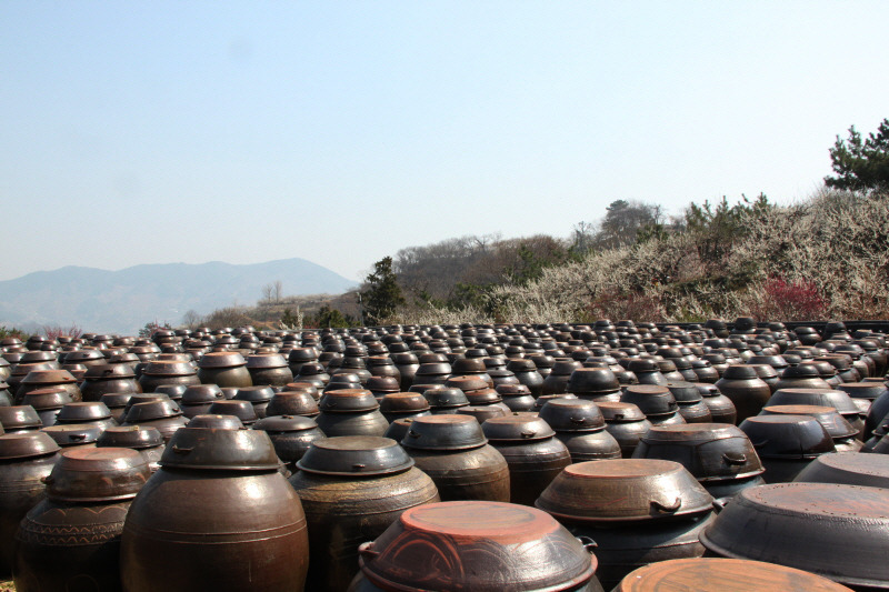 (주)열린마음 이미지