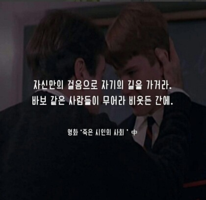 드림트리 이미지