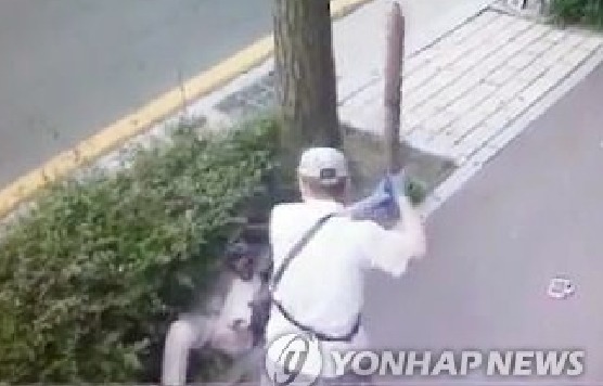 길가다가 가족의 누군가가 이렇게 당한다면 | 인스티즈