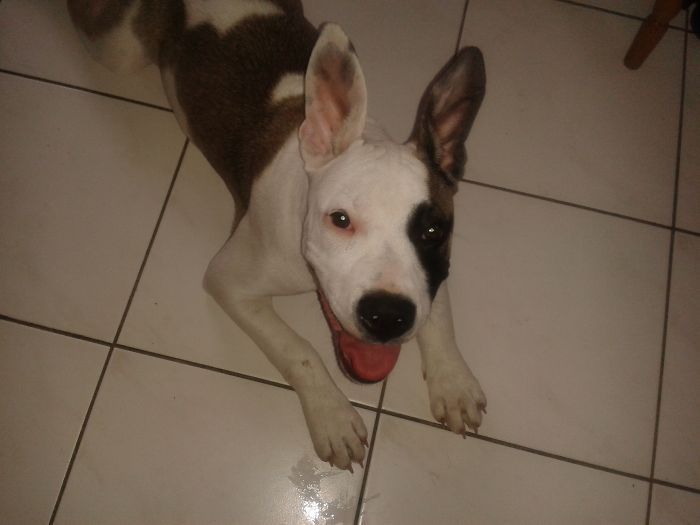 2225C1375602ABFF2C9C82