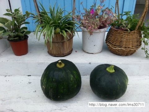 우리공방 이미지
