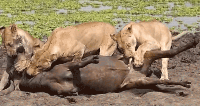 남자는 보지마시오.gif | 인스티즈