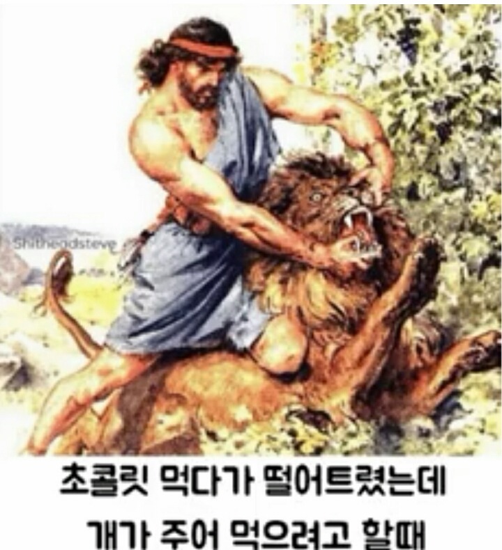 개 키우는 사람들은 공감하는 긴급 응급상황.jpg | 인스티즈