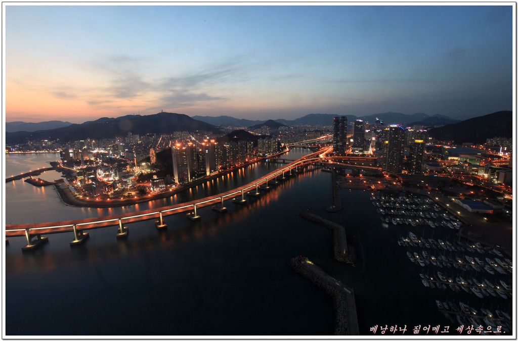 시티본 이미지