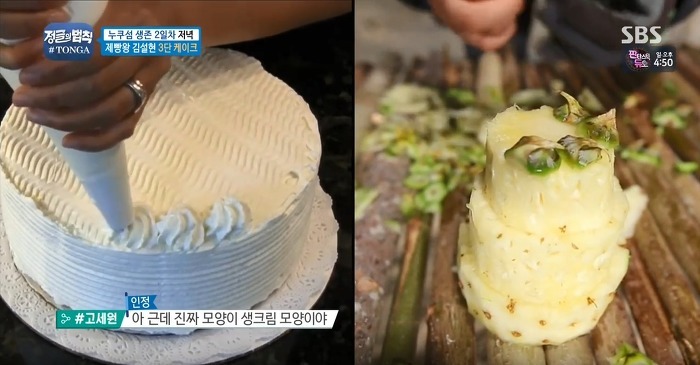 정글에서 생일을 맞은 찬성을 위해 설현이 만든 파인애플 3단케이크.jpg | 인스티즈