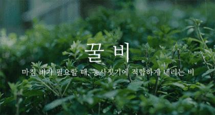 무더위에 지친 여시에게 내릴 비 골라보기.gif (우리나라 비의 의인화ver) + 소나기 추가 | 인스티즈