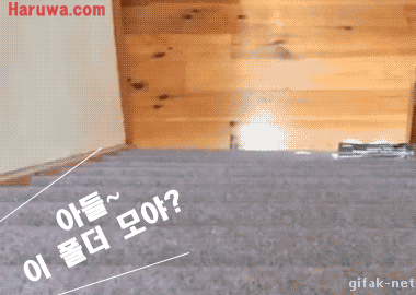아들~ 이 폴더 모야? | 인스티즈
