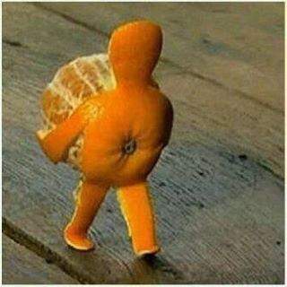 련 이미지