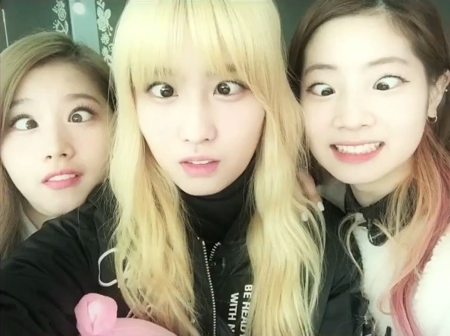 비글미 넘치는 트와이스.jpgif | 인스티즈