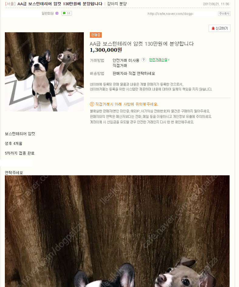 10만원 짜리였으면 강아지였으면 패죽였을거라는 동물학대범 | 인스티즈