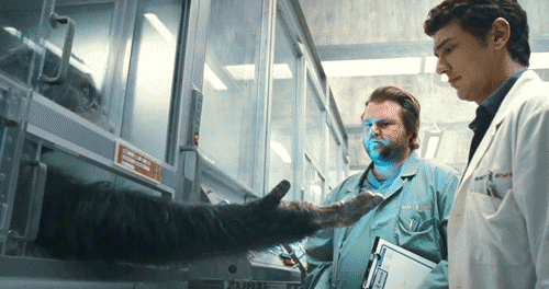 묘한 느낌의 영화 한장면 모음 14탄.gif | 인스티즈