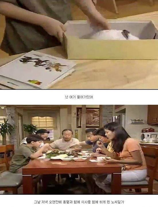 레전드 토끼사건 | 인스티즈