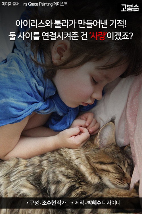 내 마음이 들리니? 자폐증 화가 소녀와 고양이의 우정 | 인스티즈