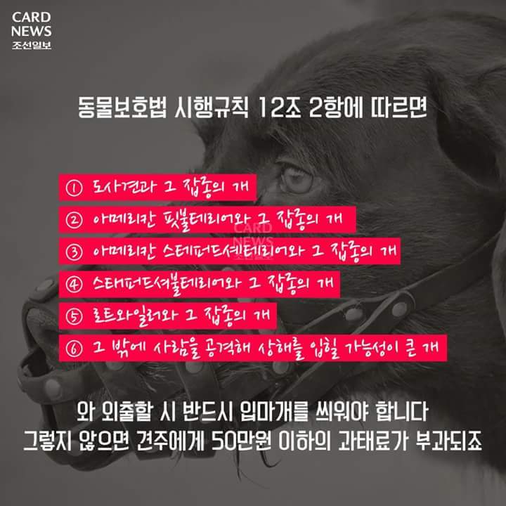 우리집 이미지