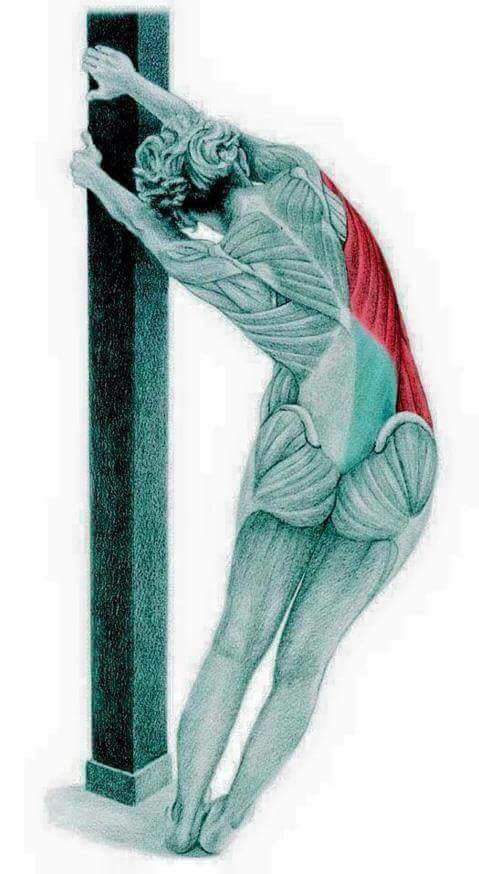 부위별 스트레칭 방법 | 인스티즈