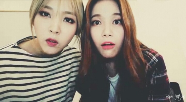 별콩 이미지