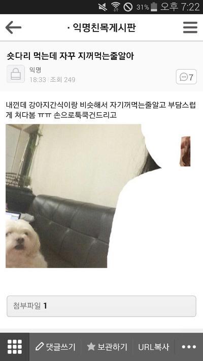 평화로운 익친이네 개들.jpg | 인스티즈