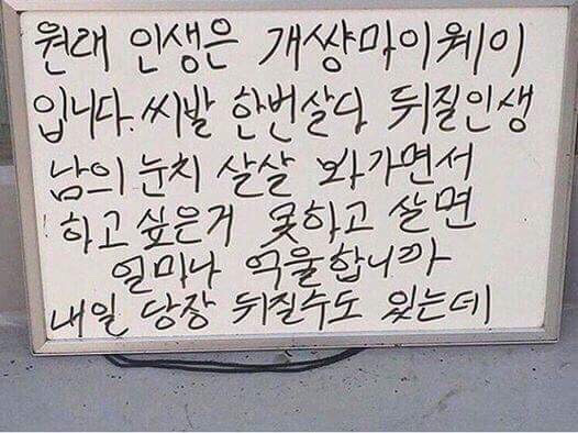 원래 인생은 개 마이웨이 입니다 | 인스티즈