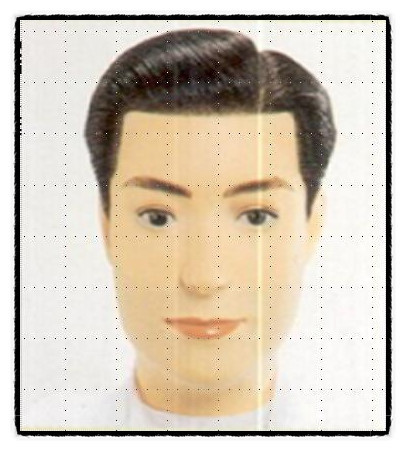 프로남성컷트 이미지