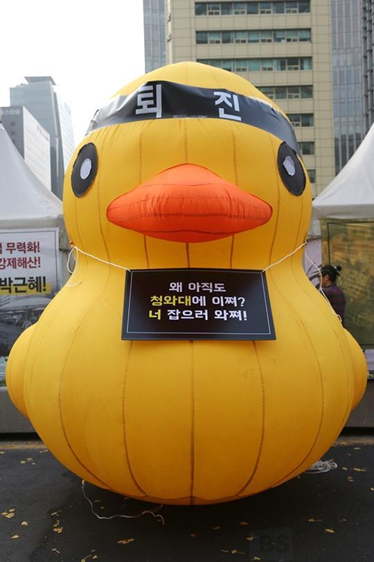 광화문광장 러버덕 | 인스티즈