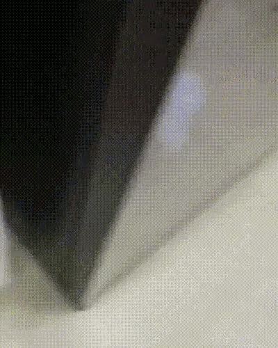 의 여름 피서지.gif | 인스티즈