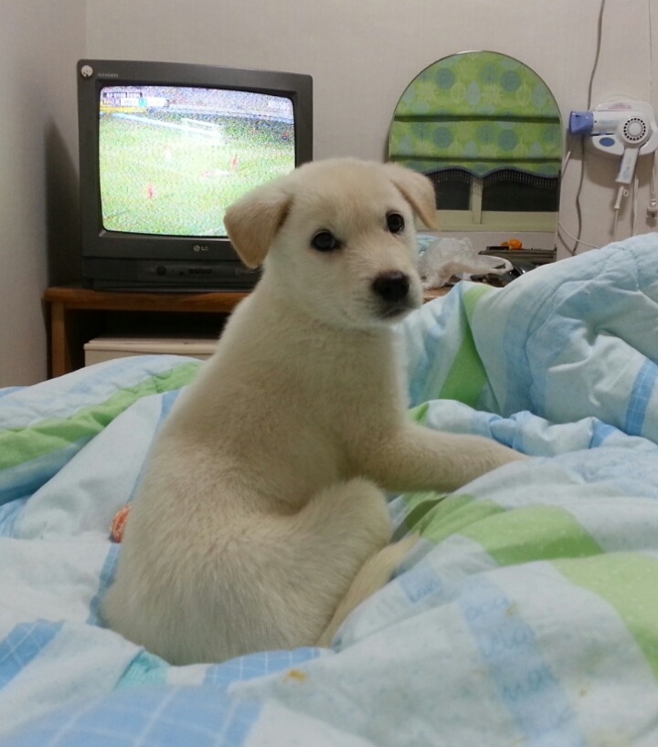제주미르 이미지
