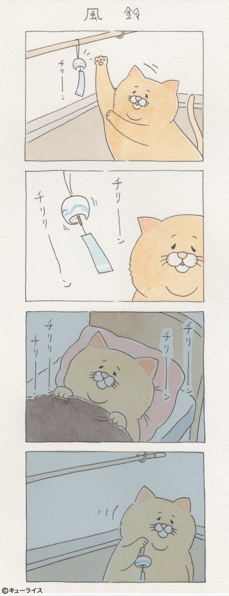 유감스러운 고양이 | 인스티즈