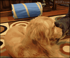 폭풍전야. GIF | 인스티즈