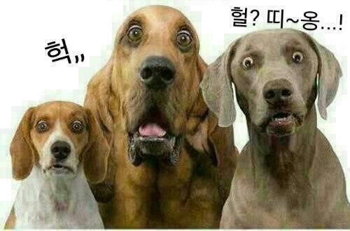 일번지커피 이미지