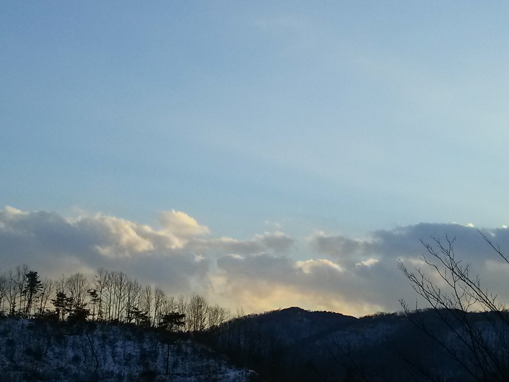 산목 이미지