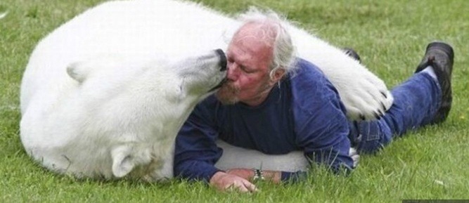 집에서 키우는 북극곰 | 인스티즈