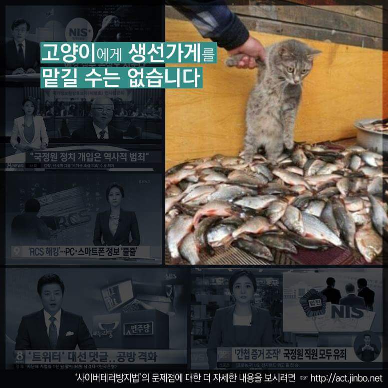 테러방지법이 통과되면 안 되는 이유들 | 인스티즈