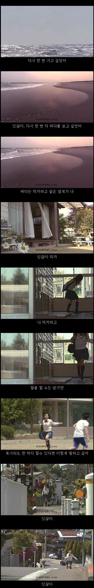 당신의 반려동물과의 이별을 생각해 본 적이 있습니까? | 인스티즈