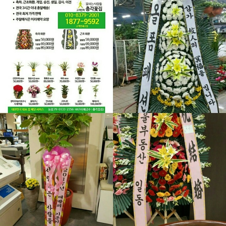 하얀꽃집 이미지